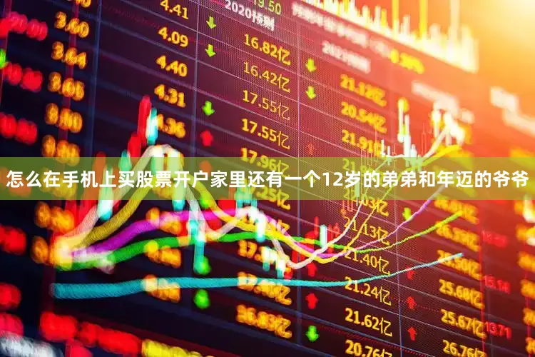 怎么在手机上买股票开户家里还有一个12岁的弟弟和年迈的爷爷