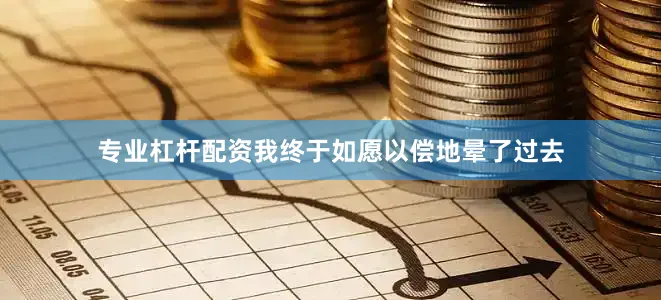 专业杠杆配资我终于如愿以偿地晕了过去