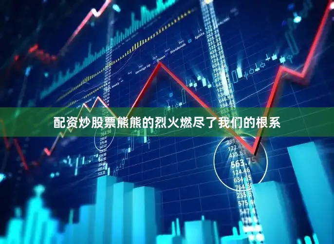 配资炒股票熊熊的烈火燃尽了我们的根系